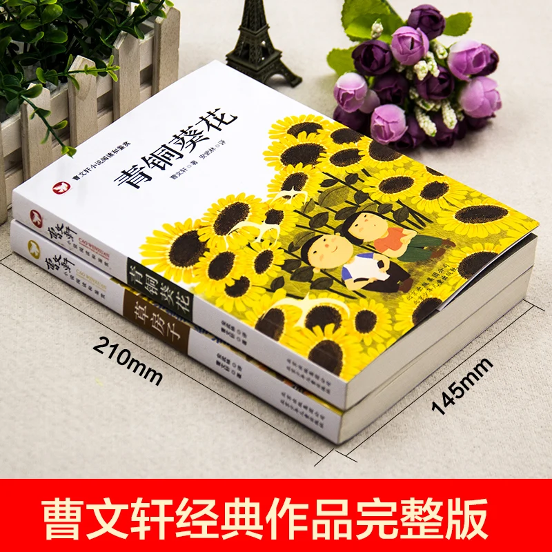 2 книги/партия Cao Wenxuan классические романы книги для детей китайский книга с