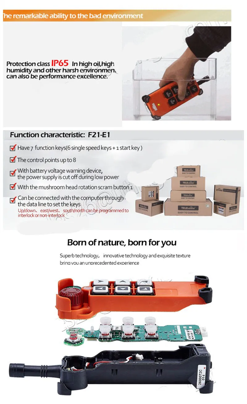 TELECRANE беспроводной промышленный дистанционный регулятор электрический пульт дистанционного управления лебедкой 1 передатчик+ 1 приемник F21-E1