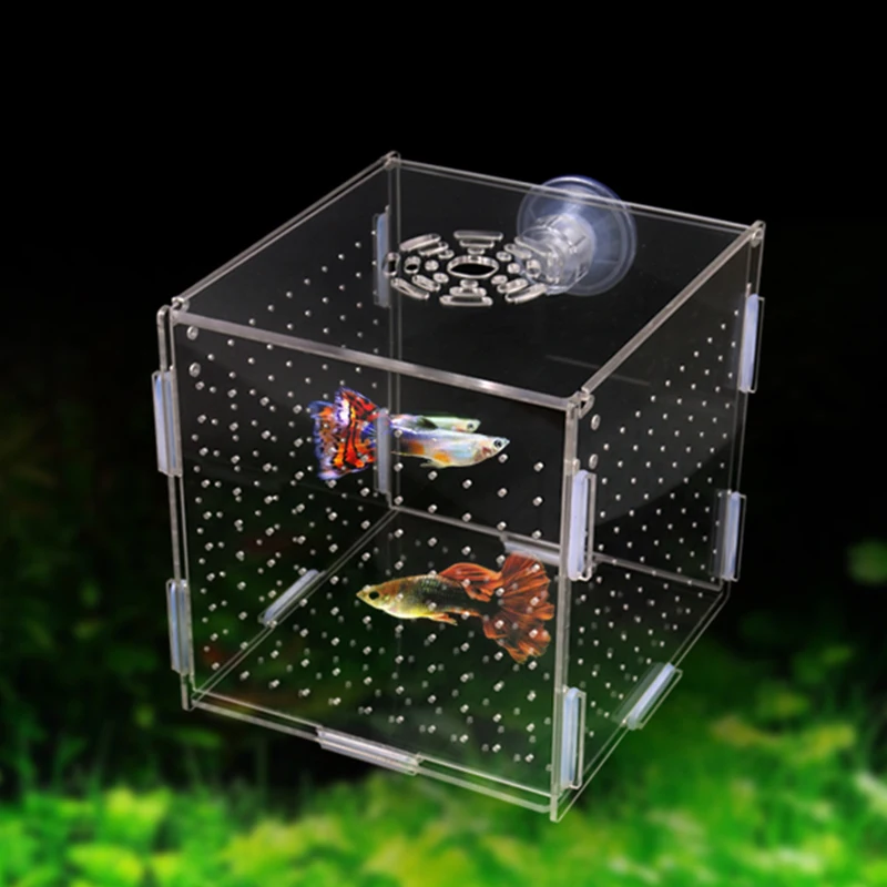 Title 2, Aquarium Isolation Box Fish Tank Small Fry Bree...