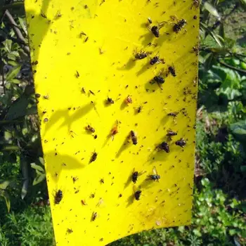 

1Pcs Two-sided Glue Stickers Yellow Hang Fly Trap Catchers Bug Insect Killer Pest Control For Balcony Garden Livestock Farm