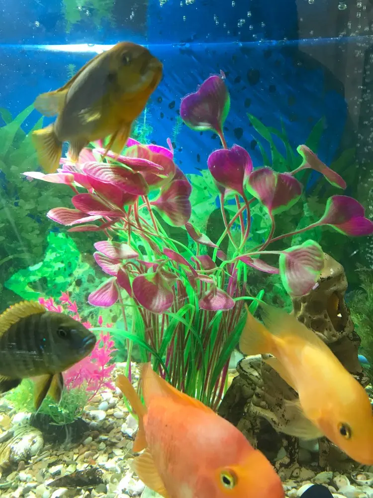 U5f0285e6de4c41f7b5d5ebf7c9e79feb0