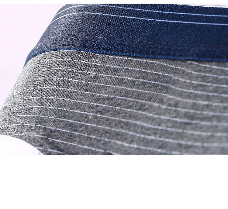 4Pcs/Lot New Men Briefs Cotton Underwear Men's Panties Underpants Male Comfortable Panties Sexy Men Shorts Man Bikini Briefs Hot