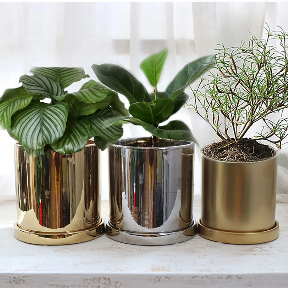 

Noble Gold Silver Cylinder Nordic Creative Plating Flower Plant Pot Orchid Cachepot Succulents Cactus Planter Container Storage