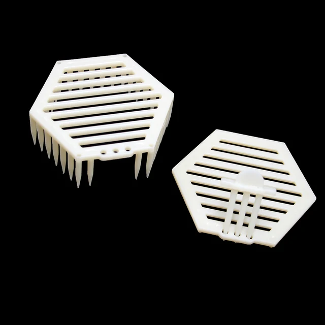 1Pcs Professzionális Bevezetés Új Bee Queen Tcage Tools King Cages Kit Hatszögletű Műanyag Doboz Méhészcellák Tenyésztési Készletei - Image 5
