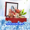 100L freezer fridge Commercial Large Capacity Ultra-low Temperature Freezer Quick Freezer 200W Direct Cooling Freezer Household 2