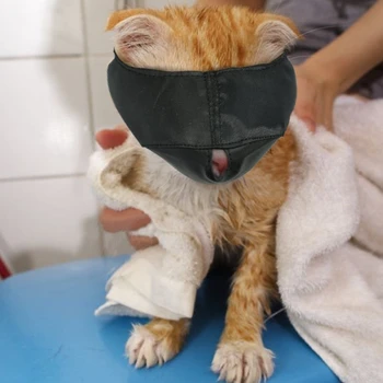 

Nylon Cat Muzzles,Cat Face Mask ,Groomer Helpers,Cat Grooming Tools,Preventing Scratches And Anti-Biting,Black L