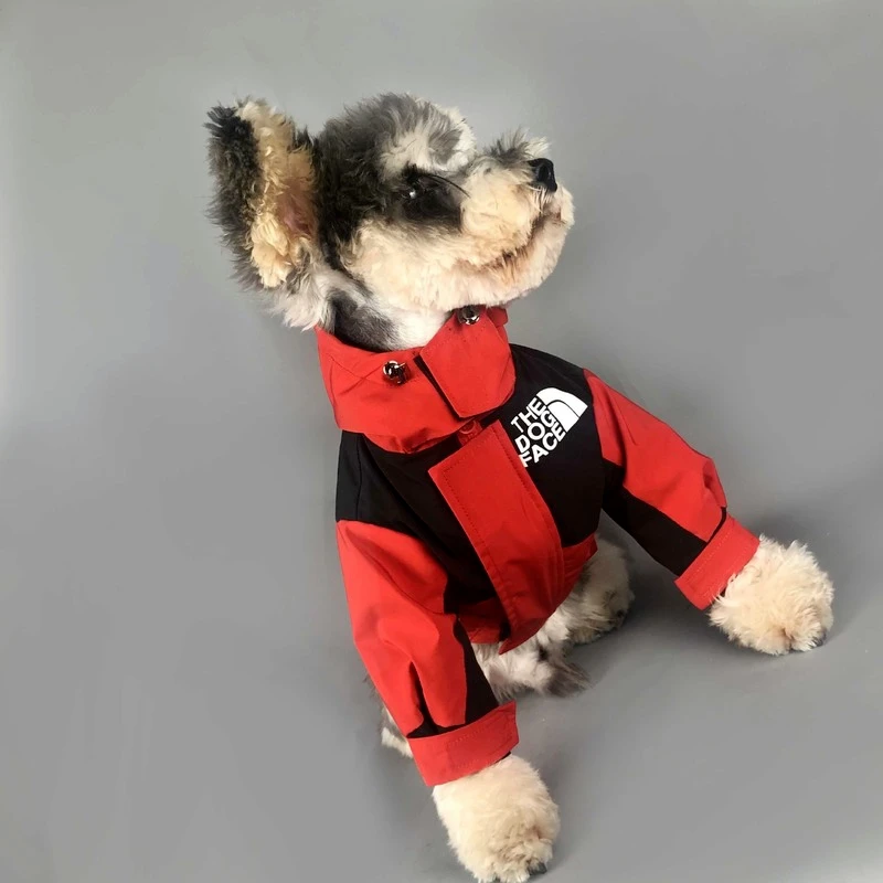 Ropa con cara de perro para mascotas, abrigo para cachorros, chaqueta cálida de invierno, chaleco de plumón para perros pequeños y medianos, ropa para mascotas|Abrigos y chaquetas para - AliExpress