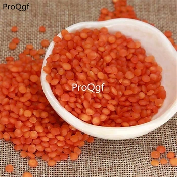 

Prodgf 2000Pcs A Set red Lablab purpureus