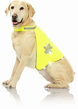 

Pawise Warnweste, Größe M