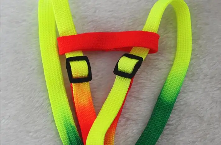 4131786594_1474041420