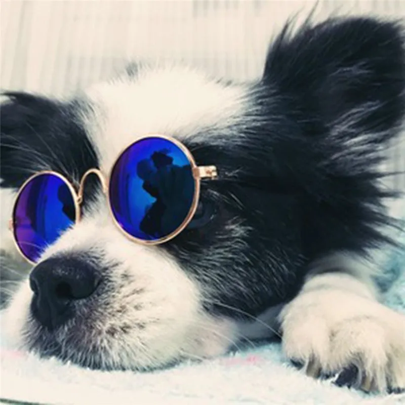 1PCS Small Pet Cat Glasses perro acesorios gatos dla psa products for Dog  cat Colorful Sunglasses accessories Photos supplies