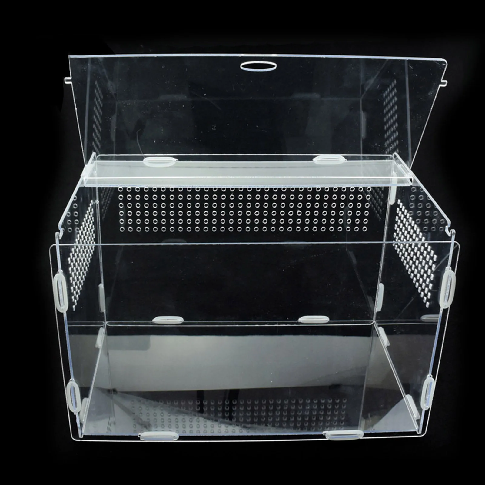 Breeding And Display For Spider Lizard Frog Cricket Turtle Urben Life Acrylic Reptile Box Reptile Insect Acrylic Mantis Breeding Box