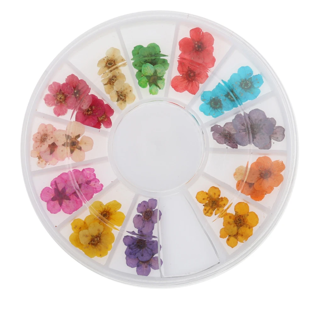 12 Colors Real Dry Dried Flower for 3D UV Gel Acrylic False Tips Nail Art Salon