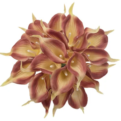 10970411027_831230203.400x400