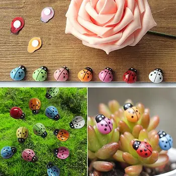 

100Pcs Mini 3D Plastic Ladybug Micro Landscape Bonsai Ornament Home Office Decor Micro Landscape Bonsai Ornament Home Office Dec