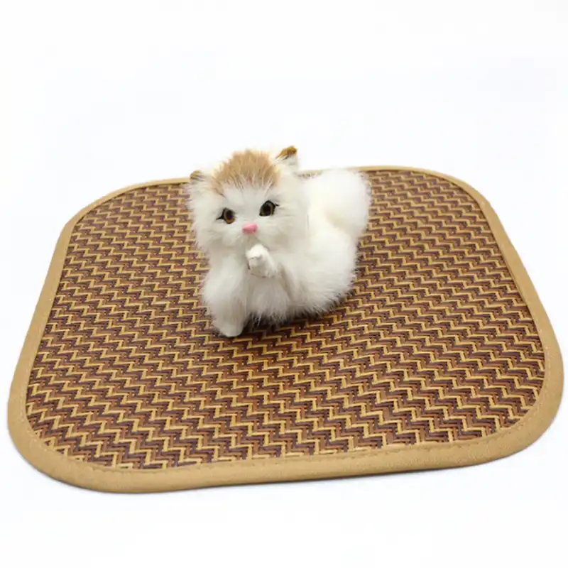 small cat teddy
