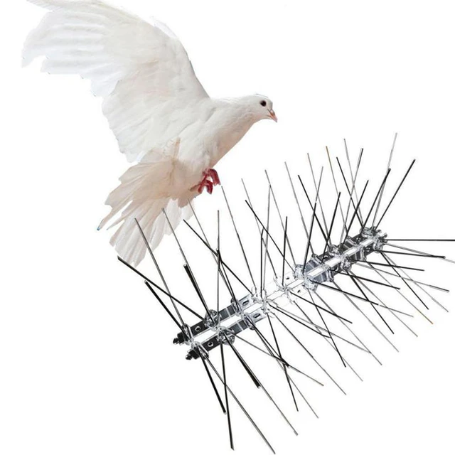 12Pcs Pigeon Spikes Stainless Steel Bird Repeller Set Deterrent Anti Bird  Pigeon Squirrel Cats Repellent for