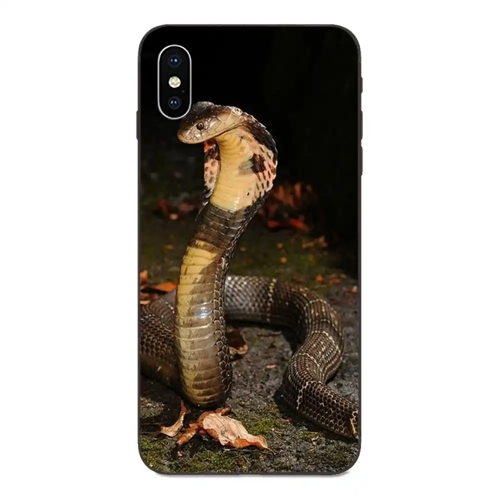 y9 lite plus prime pro 2017 2018 2019 soft coque case king cobra