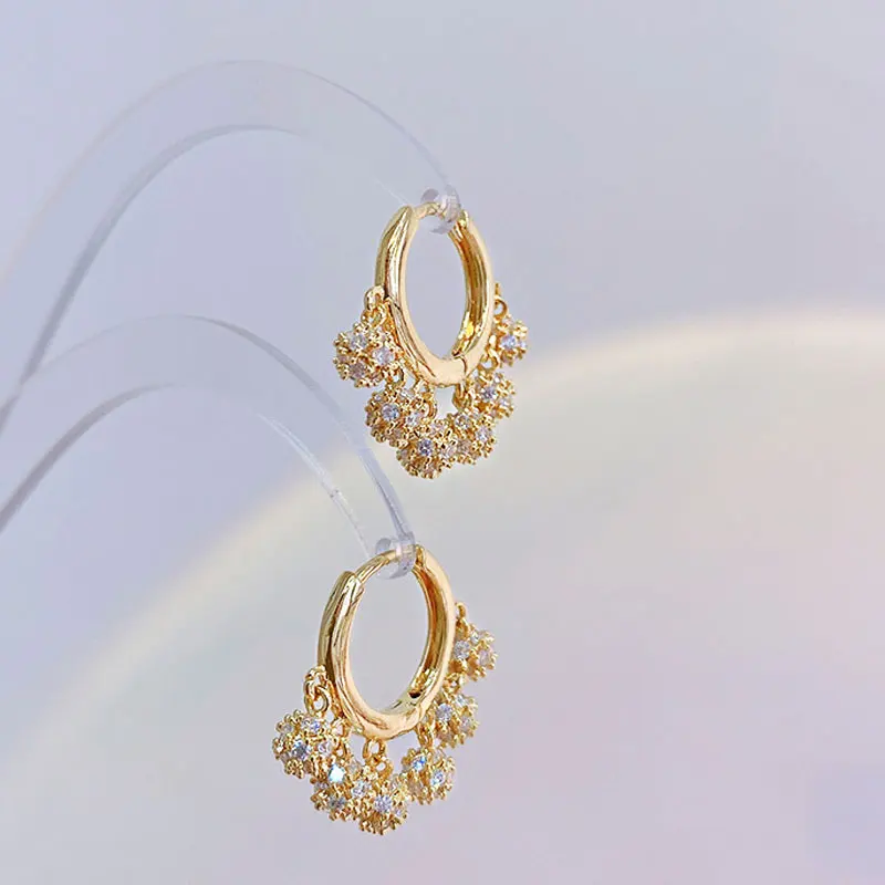 Ins Hot Shine Cz AAA Zircon Exquisite Earrings Temperament Circle Earring Pop Exquisite Luxury Jewelry Simple Classic Earrings - Image 3