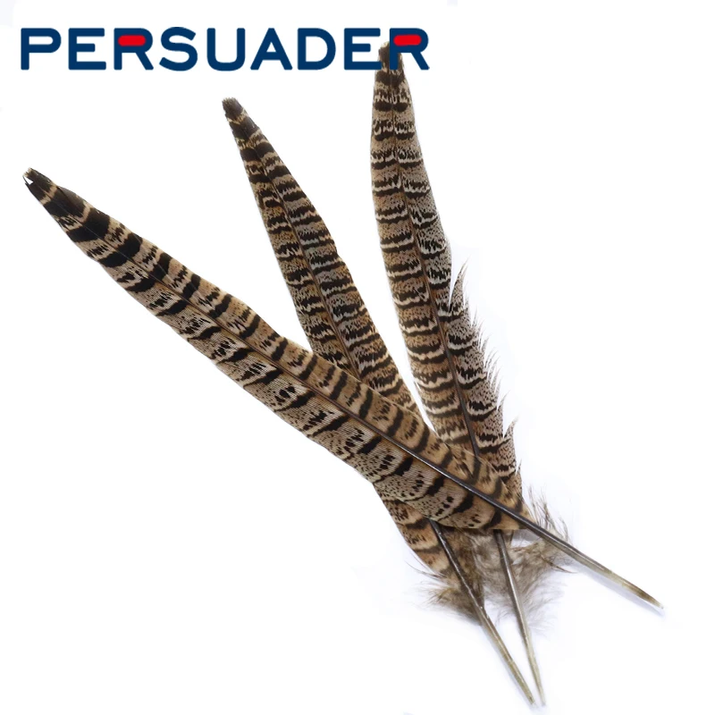 Persuader 5feathers natural march brown color hen pheasant centre tail feather medium size trout fly wings fly tying materials