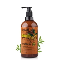 New Ginger Hair Conditioner Hair Growth 500ML Nourishing Treament and Strength Protect Scalp Smooth Hair