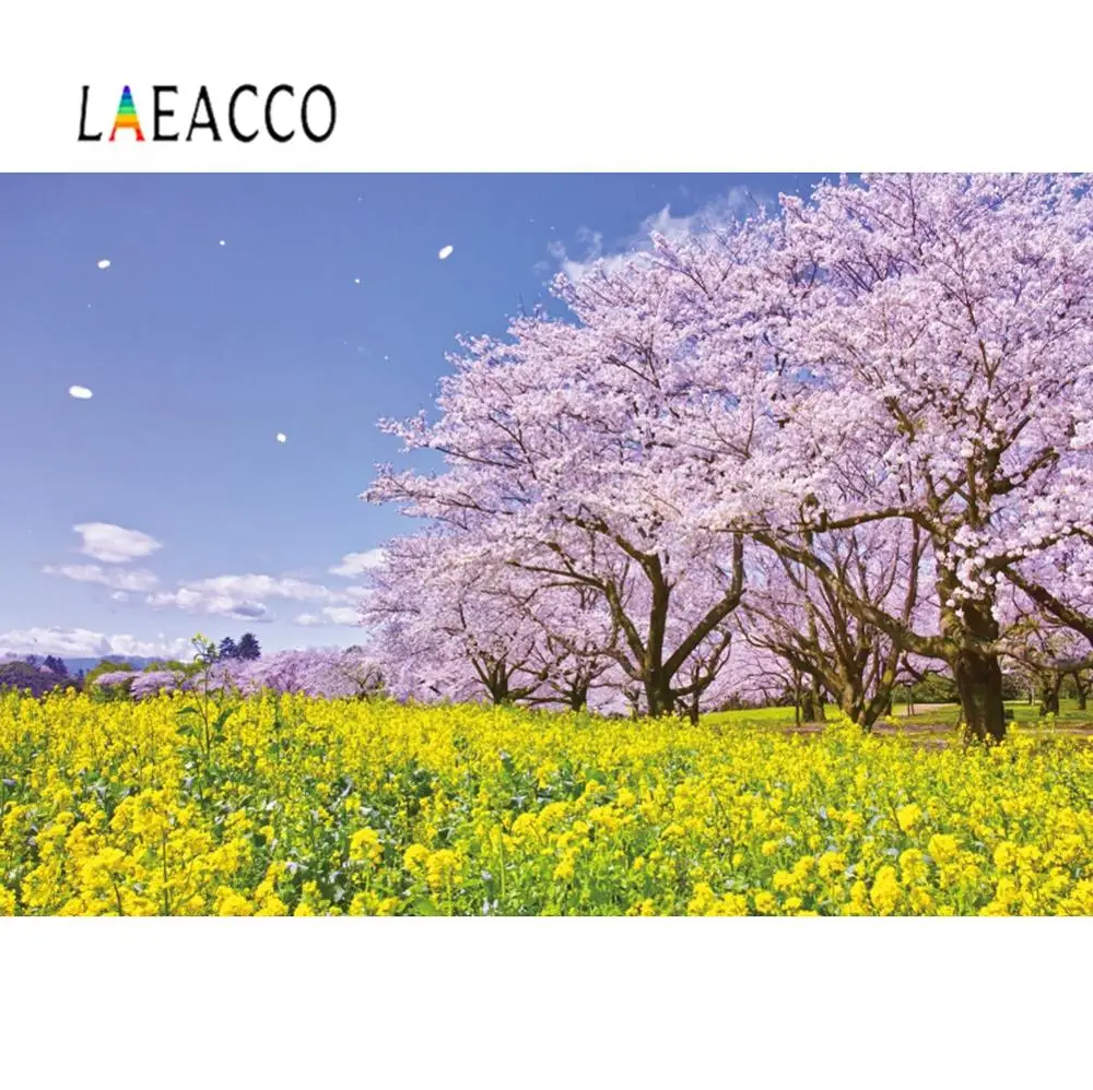Laeacco фон для фотосъемки весенние вишневые цветы дерево голубое небо открытый
