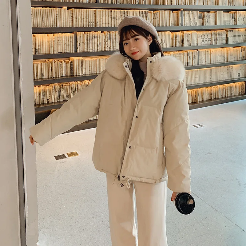 

Photo Shoot 2019 Winter Cotton-padded Clothes Online Celebrity Students Short down Jacket CHIC Women's College Style Thick Loose