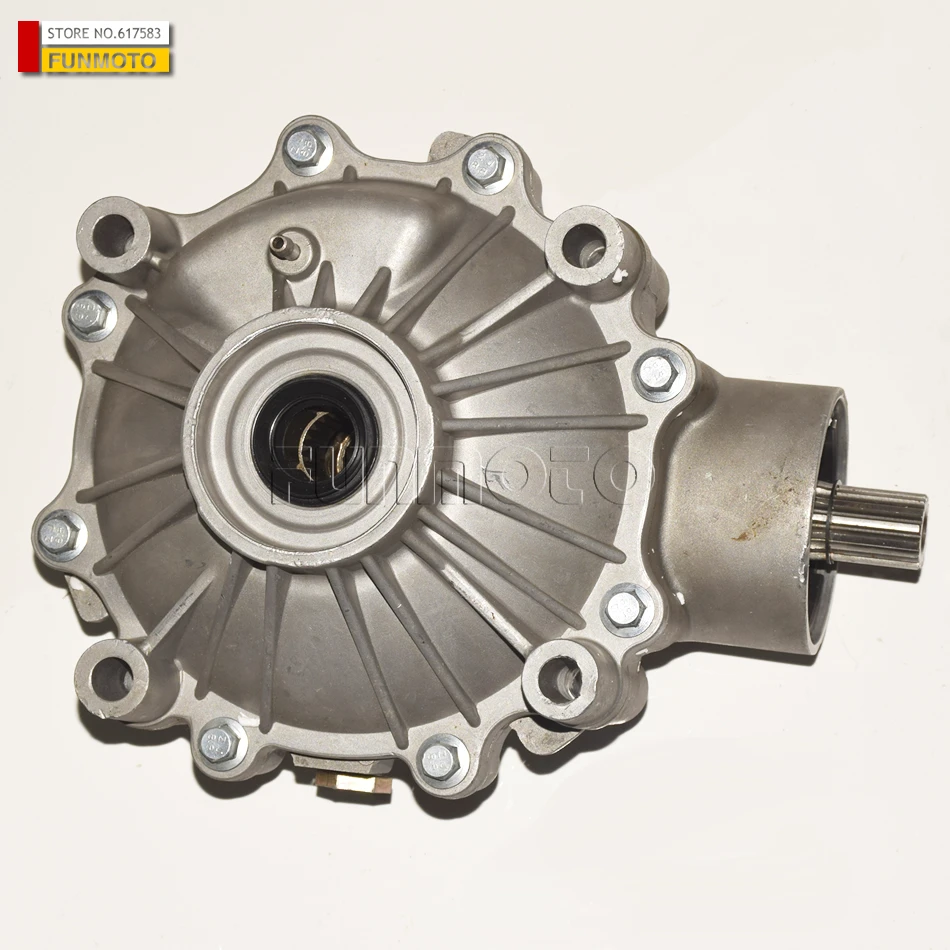 buggy rear differential