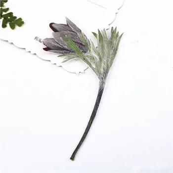 

100pcs/9-12cm,Natural Pressed flower branch,Eternal real plant DIY Wedding invitations graft Bookmark Gift Cards Scented candles