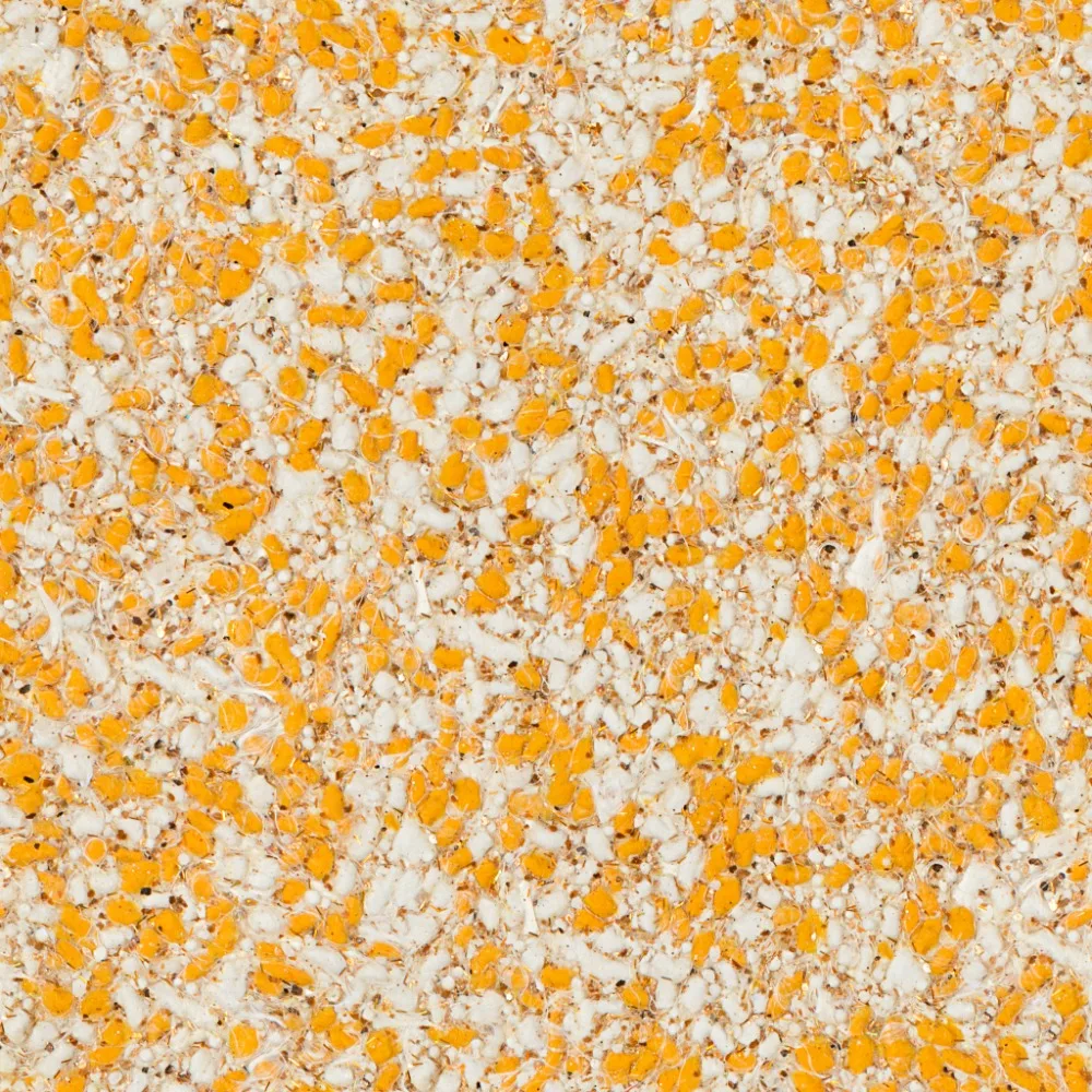E-008