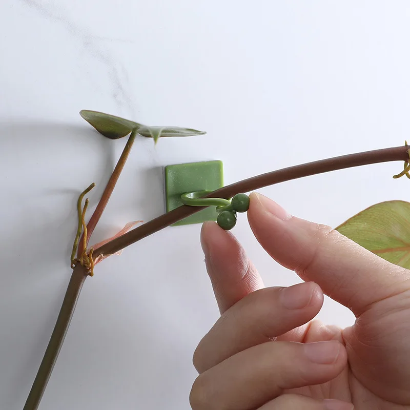 Invisible Wall Rattan Clamp Plant Climbing Wall Self-Adhesive Fixator Vine Buckle Hook Rattan Fixed Clip Bracket Plant Stent Sup plant ties,plastic plant cable ties,plastic plant supports,plant clips,plastic plant clips,plant climbing support,plant support racks,plant adhesive hooks,plant wall hooks,climbing plant trellis