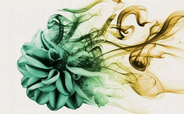 QQ截图20201221213315