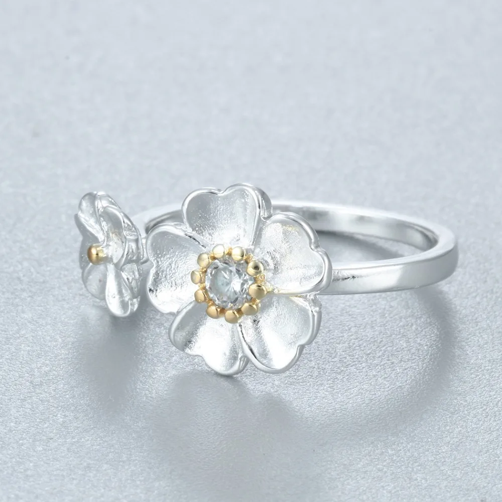 HTB1HgGpPXXXXXXnXVXXq6xXFXXXC