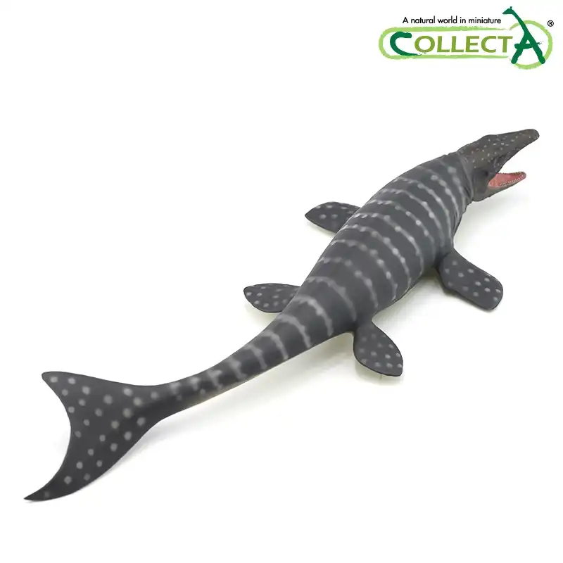 mosasaurus collecta