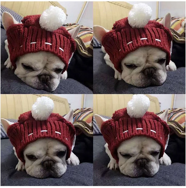 Cappellino Invernale Per Cani Con Pompon | Berretto Termico Per Animali | Taglie S-M-L | Ideale Per Bulldog Francese E Razze Piccole