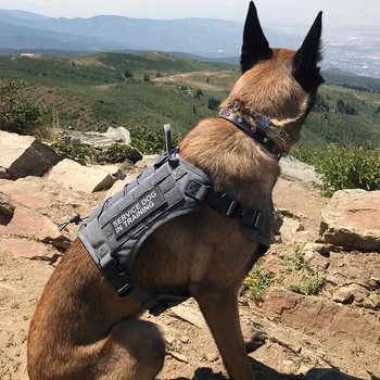

Tactical Pet Dog Harness K9 Working Dog Collar Vest With Handle Dog Leash Lead Training For Medium Large Dogs German Shepherd