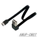 AMUP-CMST