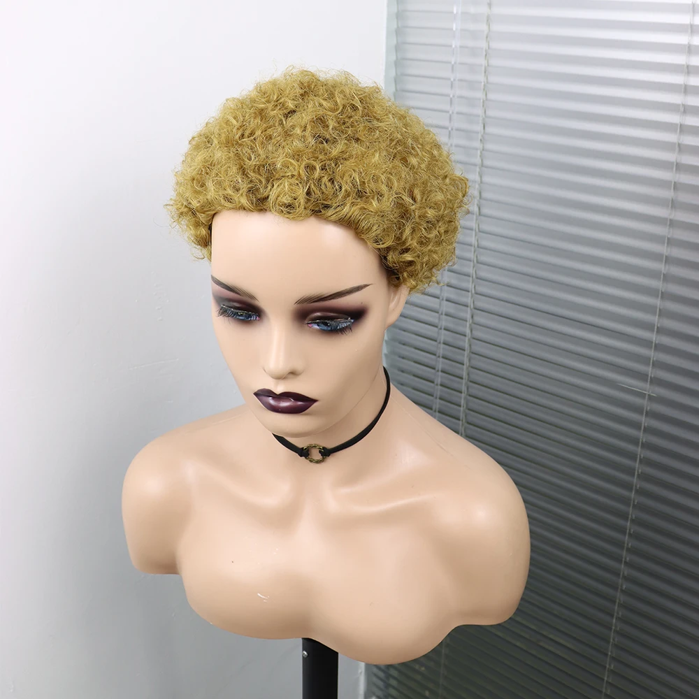 Short Curly Hair Wigs Pixie Cut Brazilian Human Hair For Black Women Natural Black 150% Density Glueless Afro Kinky Curly Wig