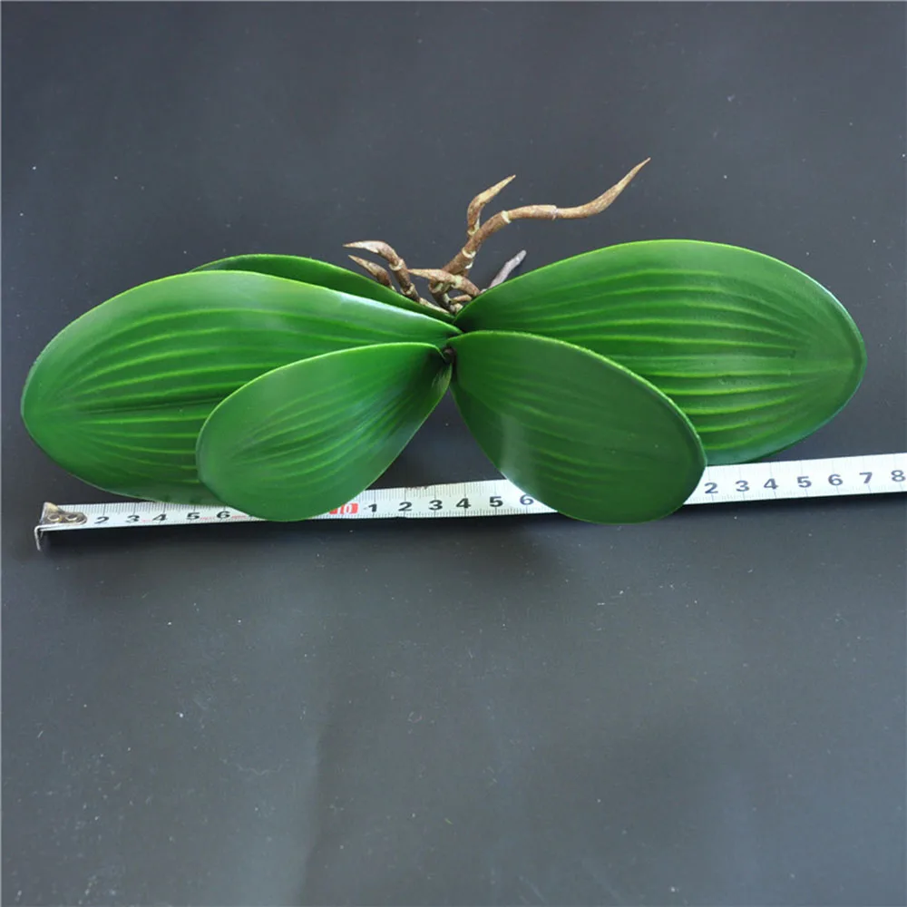 YYPA0088-1-YYPA0088-2-D2