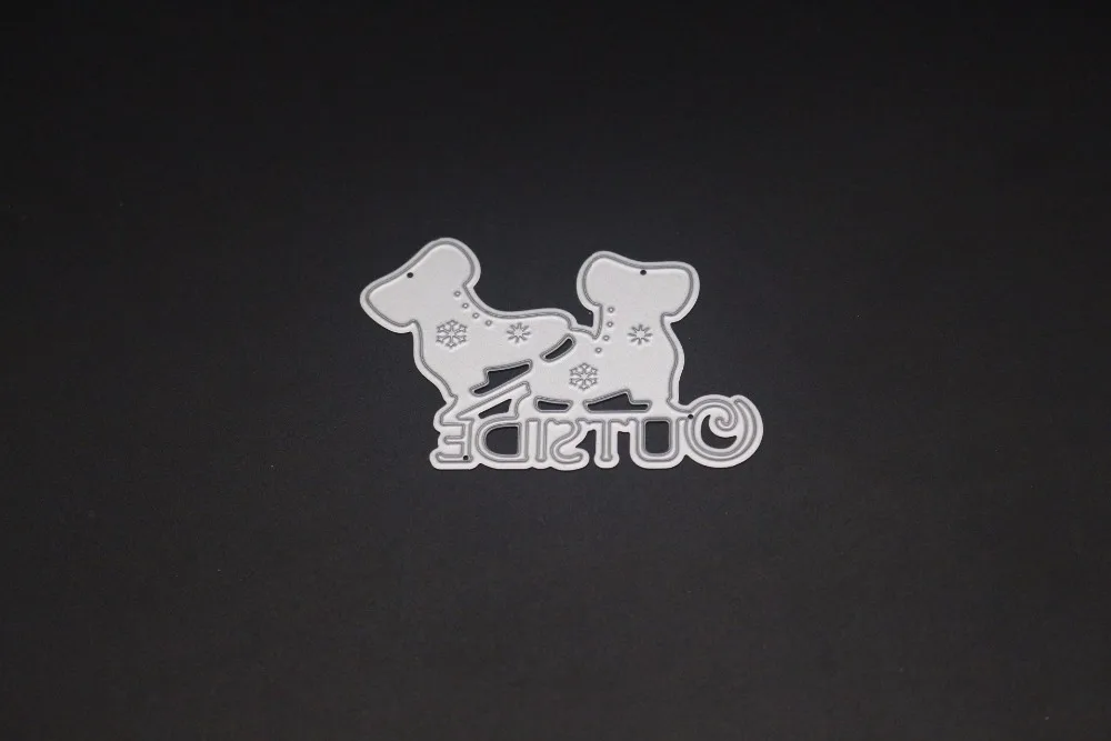 IMG_8800