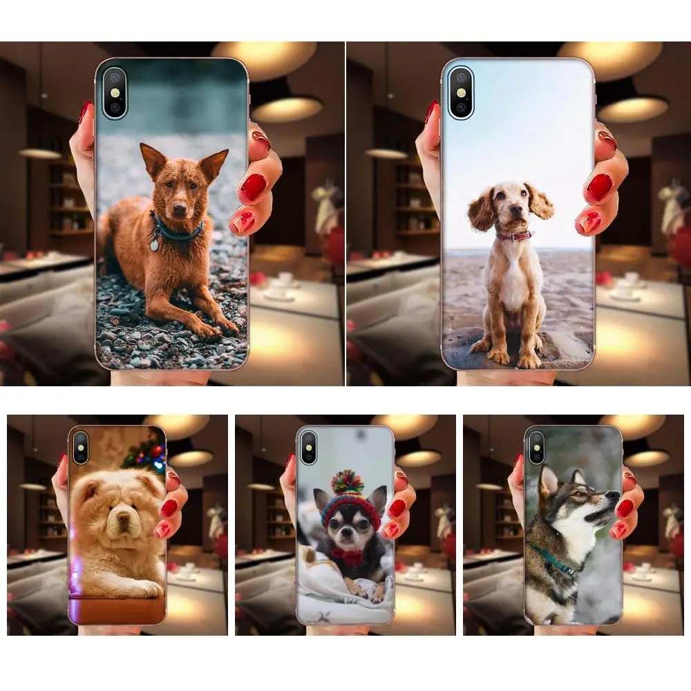 Wolf Dog Soft Tpu Phone Case For Huawei P7 P8 P9 P10 P20 P30 Lite Mini Plus Pro Y9 Prime P Smart Z 2018 2019 | Мобильные телефоны и