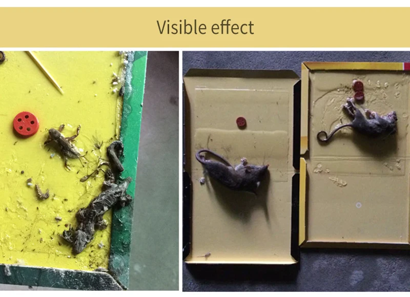 Нетоксичная липкая доска для мыши мухи жуки таракан термитовые ловушки клеевая крысиная доска сильная мышеловка для уничтожения вредителей контроль отклонения