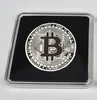 silver BTC with case
