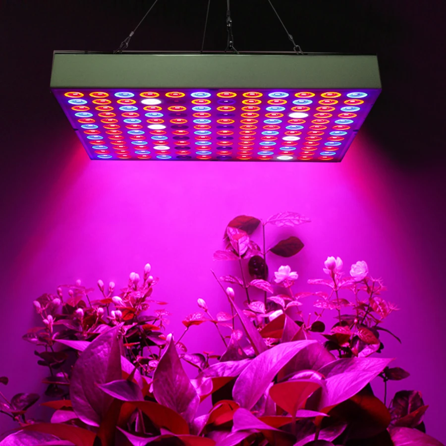 grow lights for veg and flowering