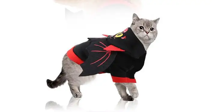 QQ截图20190820094639