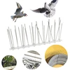 10M Hot Selling Plastic Bird and Pigeon Spikes Anti Bird Anti Pigeon Spike Scare Birds Pest Control Bird Repellent Garden Supply ► Photo 1/6