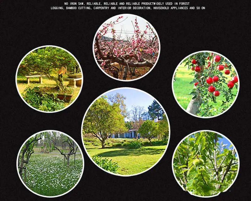 10738355063_1878238157