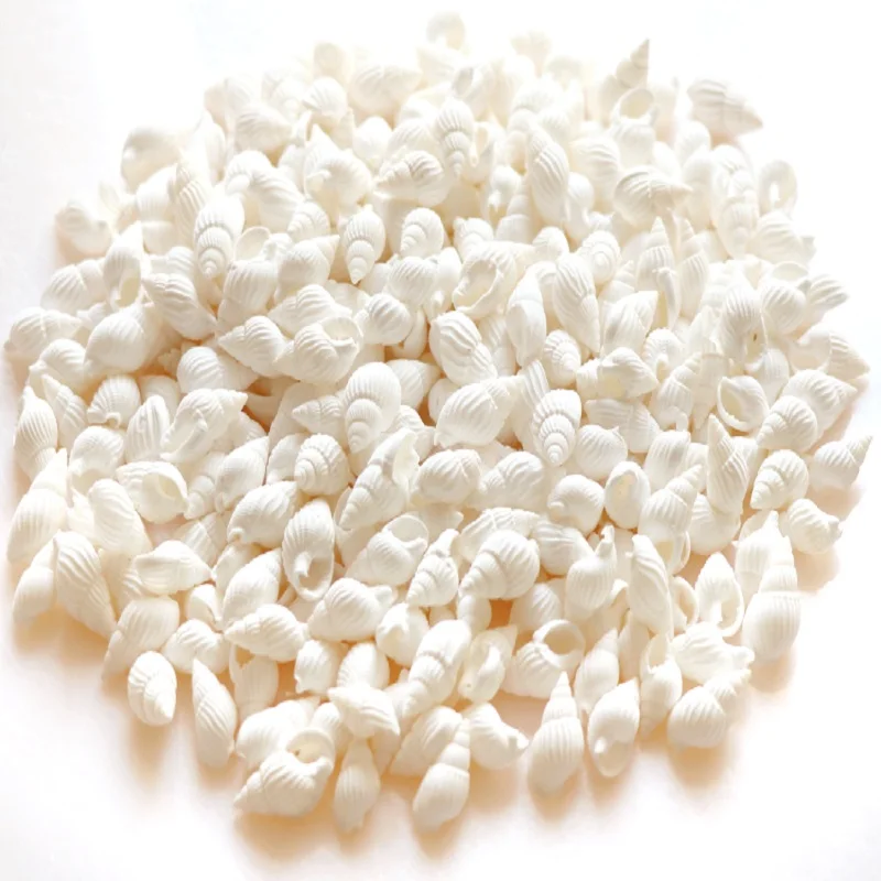 10/100 шт. ракушки для аквариума|Ракушки и морские звезды| |