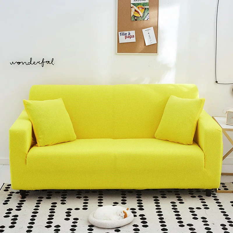 12877337419_813561669