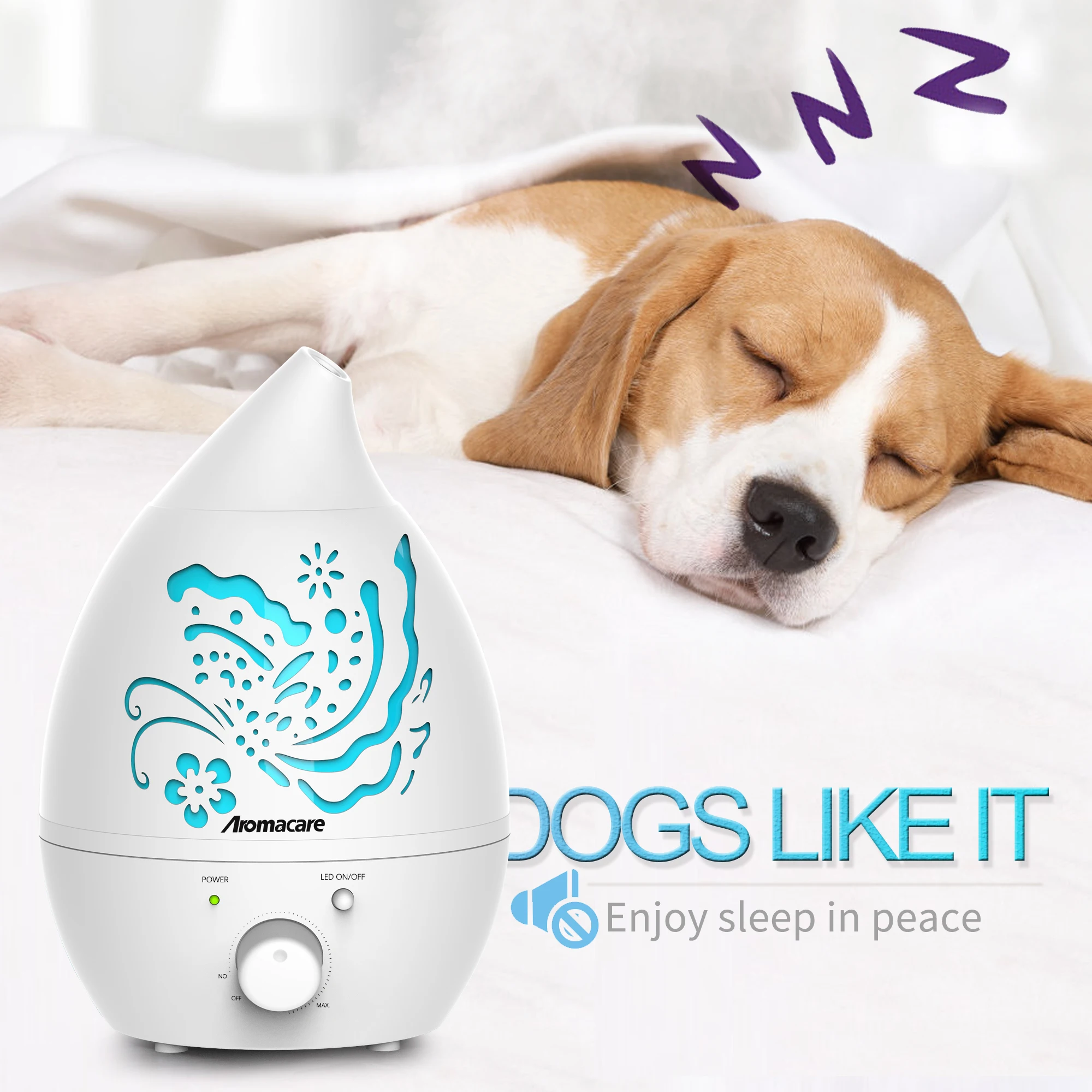 Can Dogs Sleep With A Humidifier
